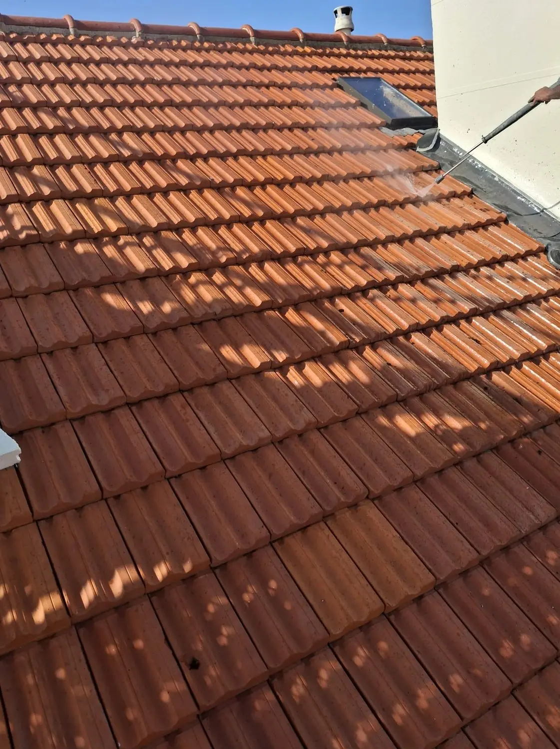 Toiture en tuiles à moitié démoussée