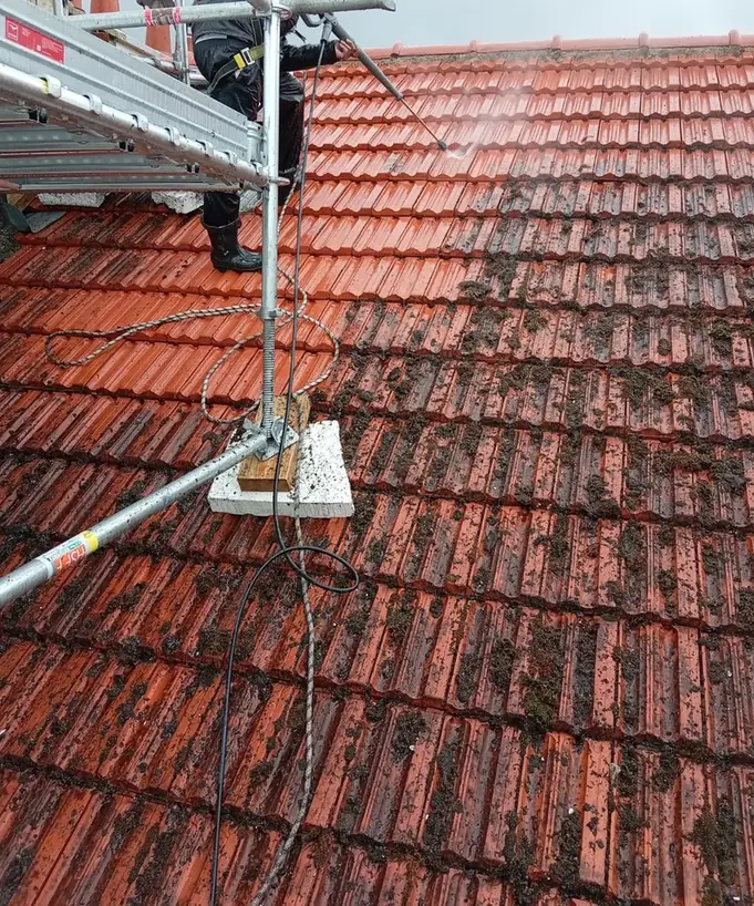 Toiture envahie par la mousse